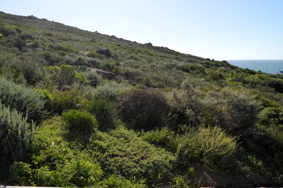 0 Bedroom Property for Sale in Steenbergs Cove Western Cape